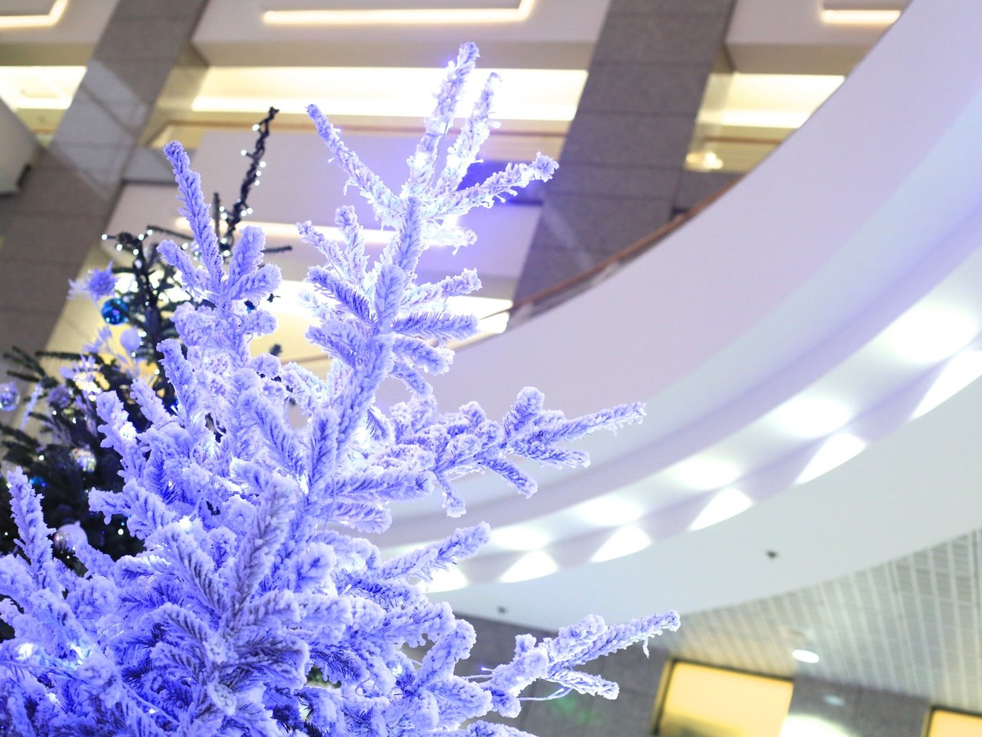 Décoration de Noël pour entreprise à Paris par Green Decor