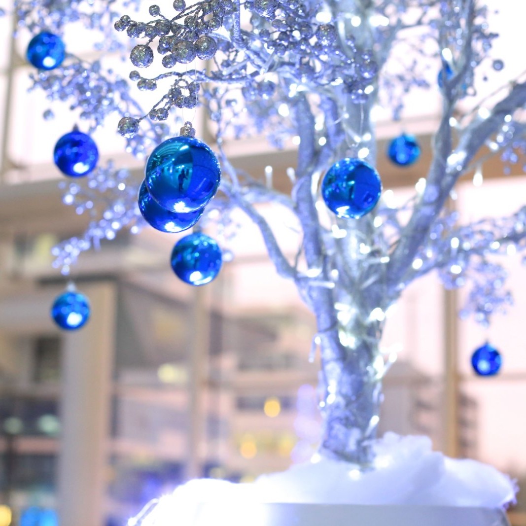 Décoration de Noël pour entreprise à Paris et sapins floqués