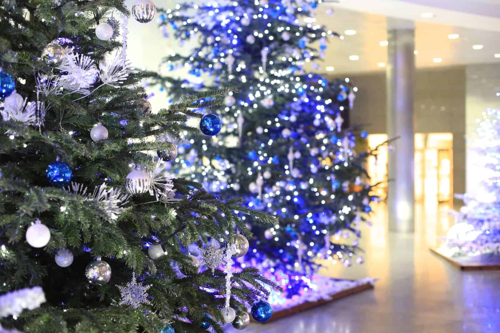 beaux sapins de noël pour les entreprises