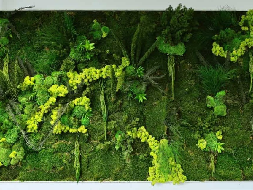 Tableau végétal - Green Decor