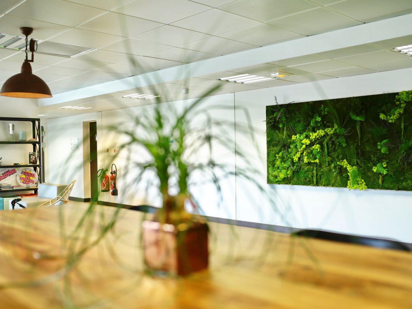 location de plantes vertes pour les bureaux à paris