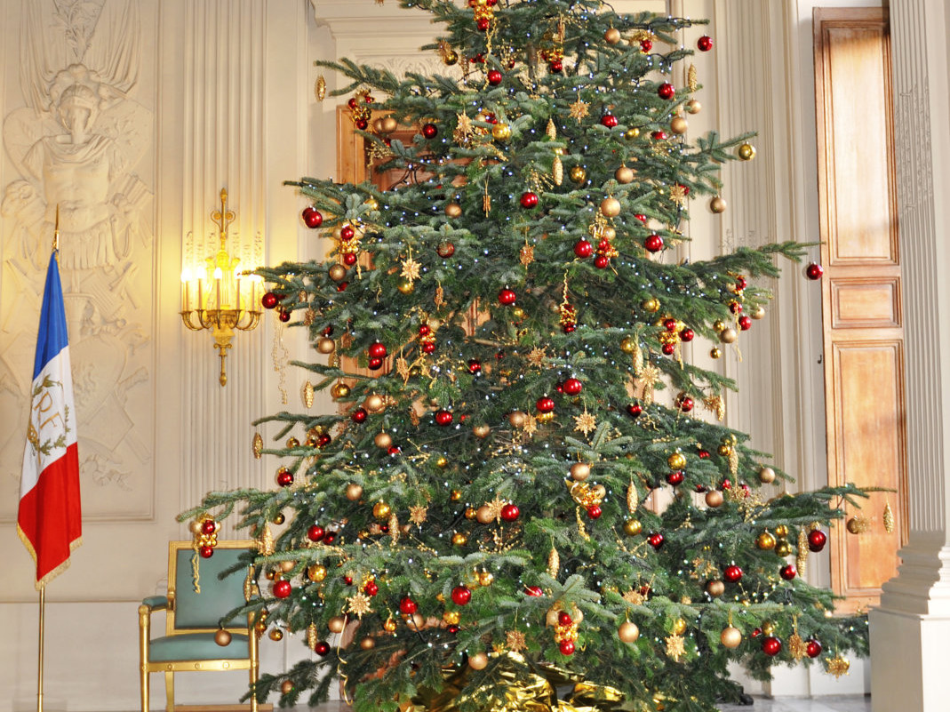 Sapins et décorations de Noël en entreprise et institutions par Green Decor