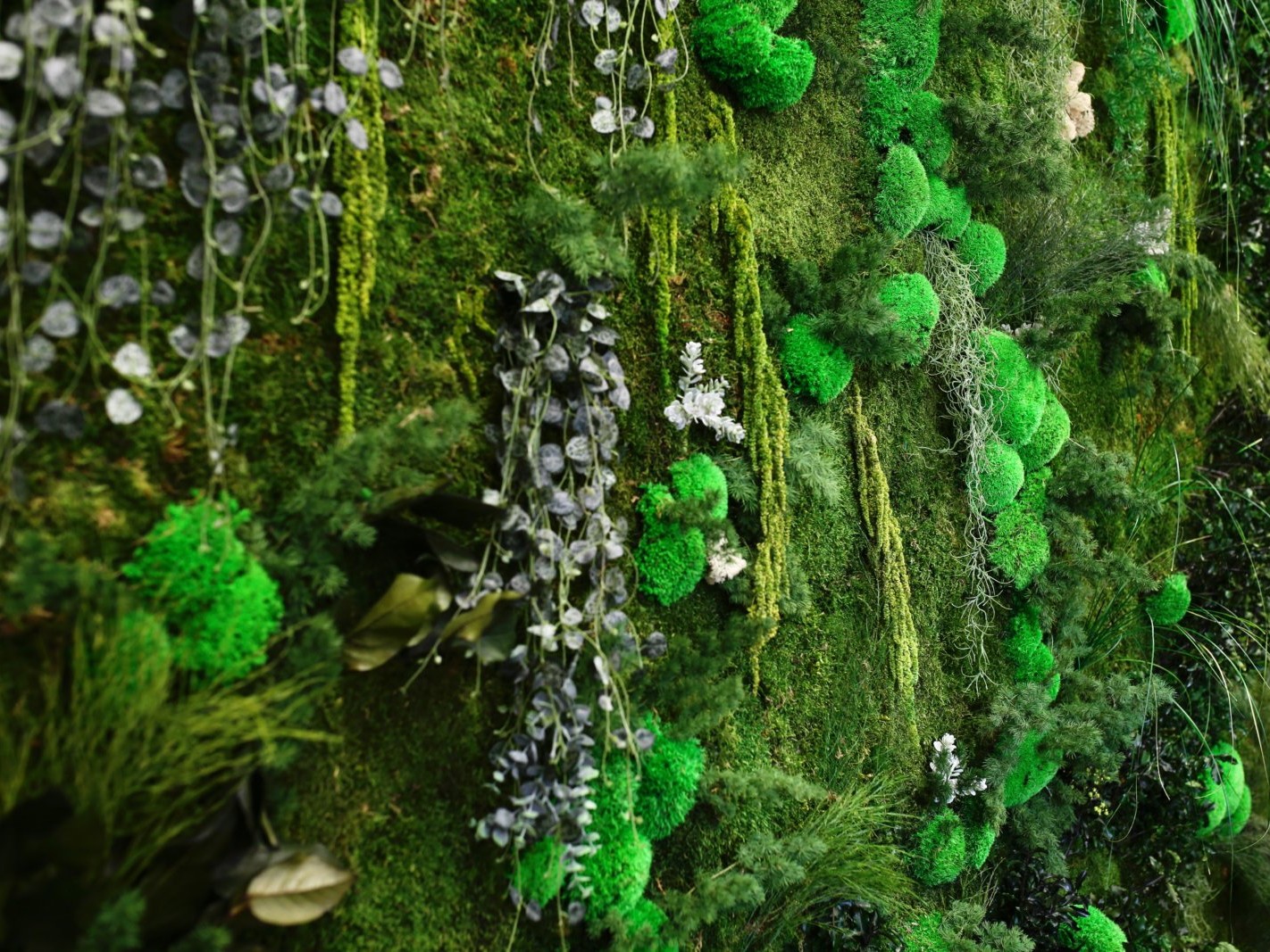 Création de Mur végétal, mur végétalisé et tableau végétal par Green Decor