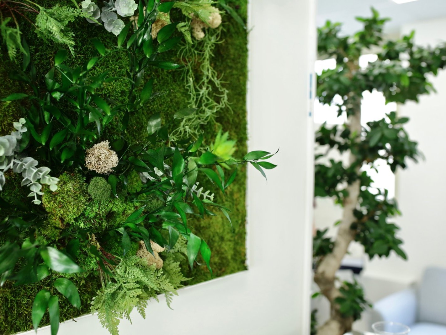 Mur végétal, tableau végétalisé en entreprise et bureaux