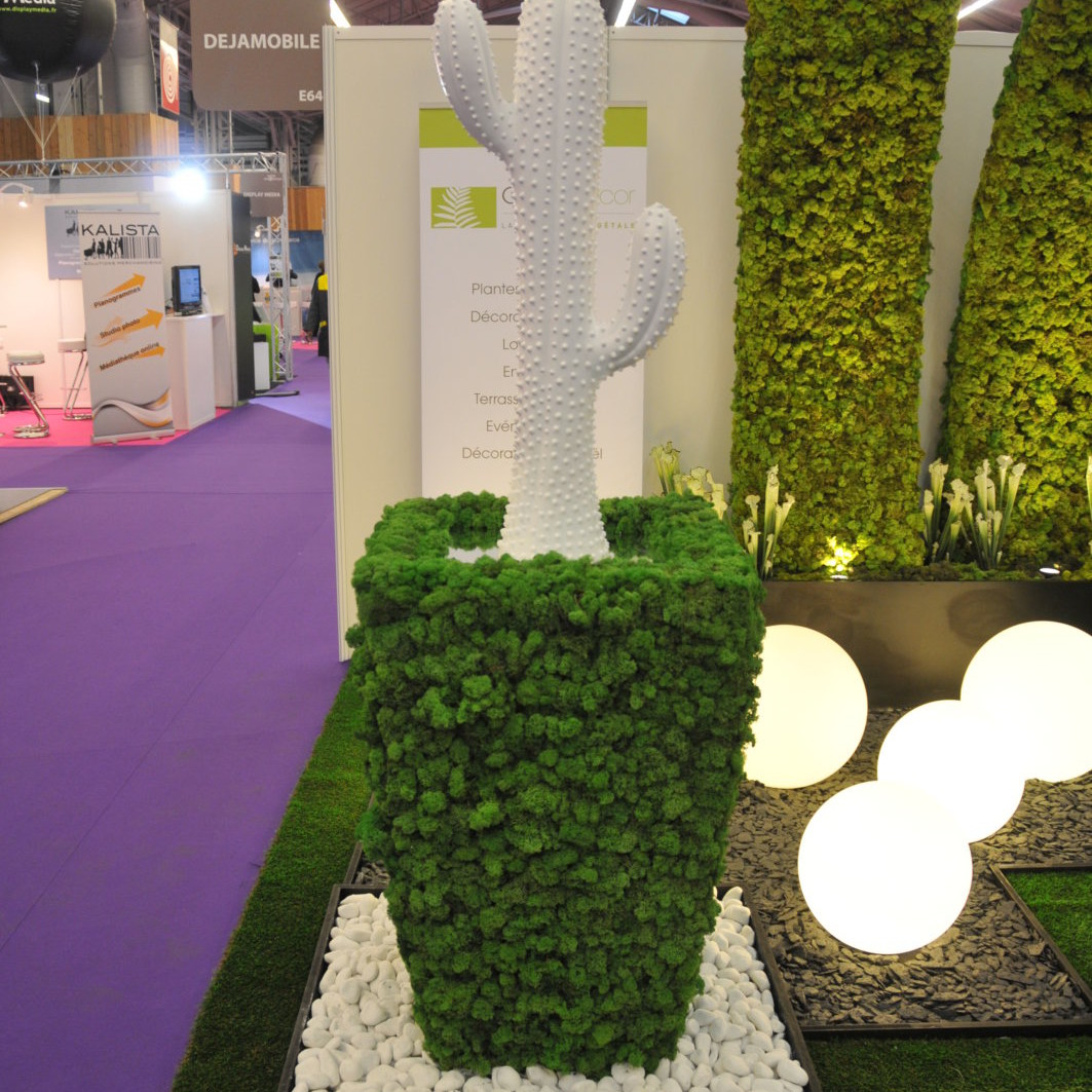 Stand végétal, stand végétalisé par Green Decor, design végétal et location de plantes avec contrat d'entretien