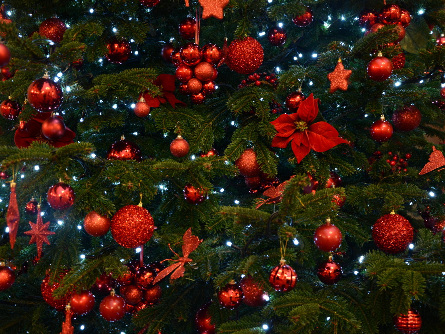 Décorations et sapins de Noël en entreprise par Green Decor