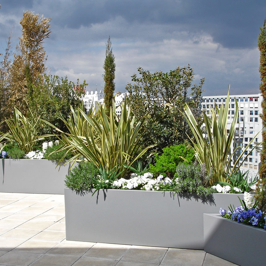 Green Decor Aménagement de terrasses à Paris pour particuliers et entreprises