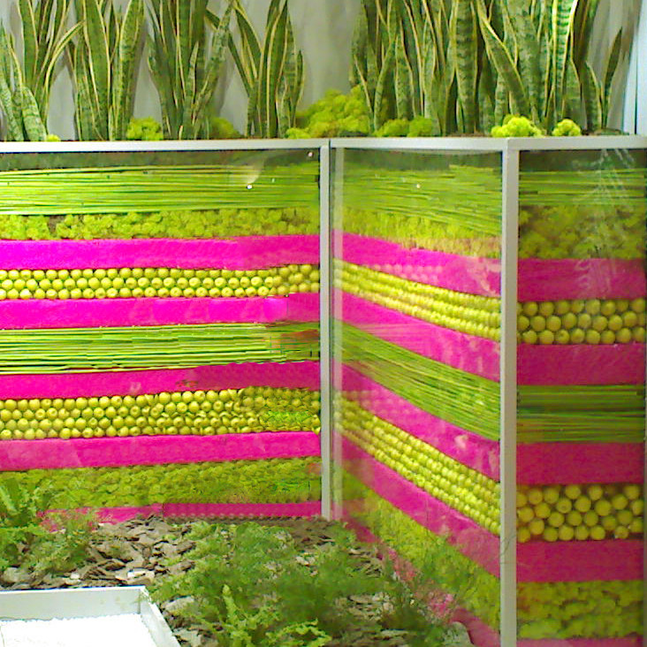 Stand végétal création Green Decor